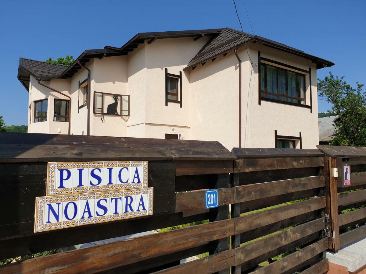 Casa Pisica Noastra Hotel Breaza  Exterior photo